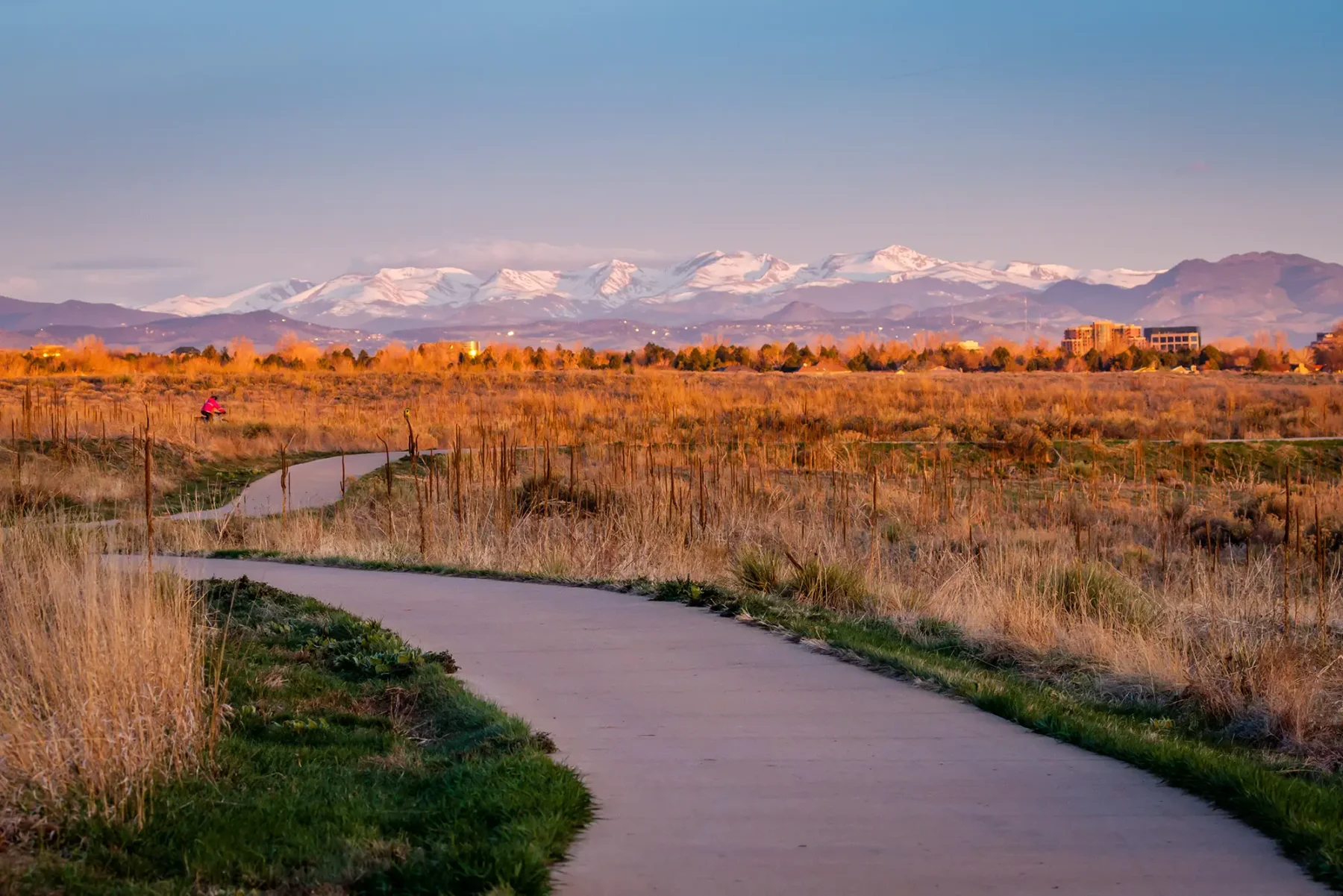 Winding road in a prairie landscape with mountains in the distance